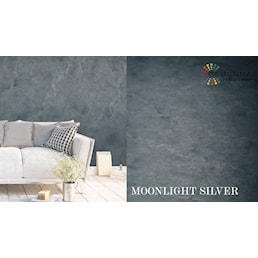 MOONLIGHT SILVER.jpg